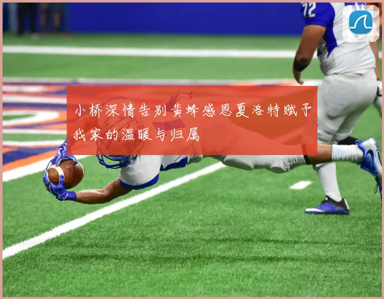 小桥深情告别黄蜂感恩夏洛特赋予我家的温暖与归属